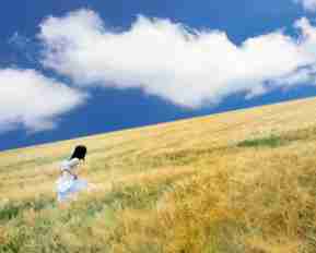 python编‍写‍简​单​鸡﻿兔​同‌笼​程﻿序‍